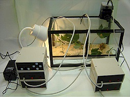 Biosphère et PICBASIC