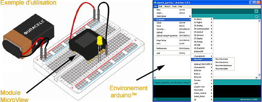 Exemple d'application du MicroView Exemple d'application du MicroView